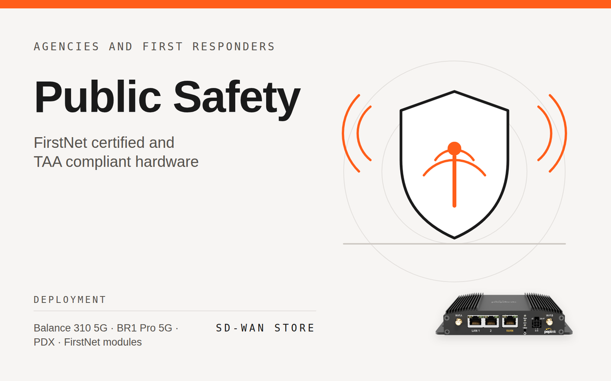 Public Safety