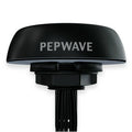 Peplink Mobility 22G antenna, black