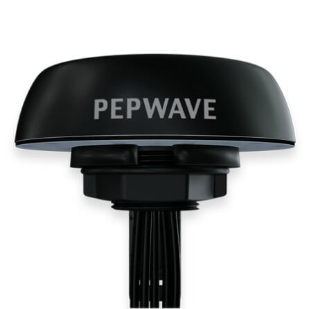 Peplink Mobility 22G antenna, black