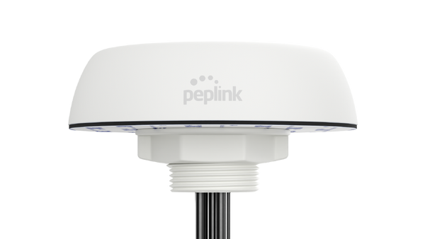 Peplink Mobility 22G Antenna — White, QMA, 1 ft