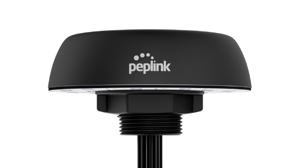 Peplink Mobility 40G Antenna — Black, SMA, 6 ft