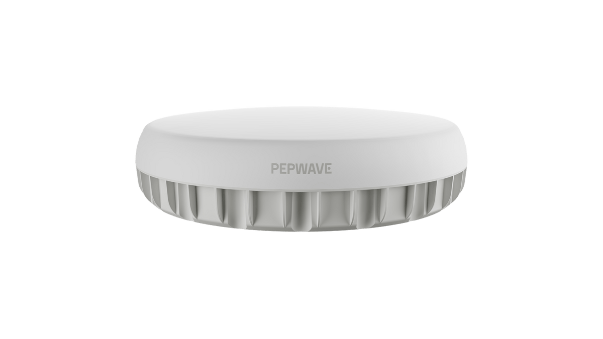 Peplink Antenna MAX Duo IP67 router enclosure