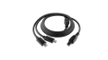 Peplink ACW-791 4-pin to USB-C power cable