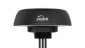 Peplink Mobility 20G antenna, black