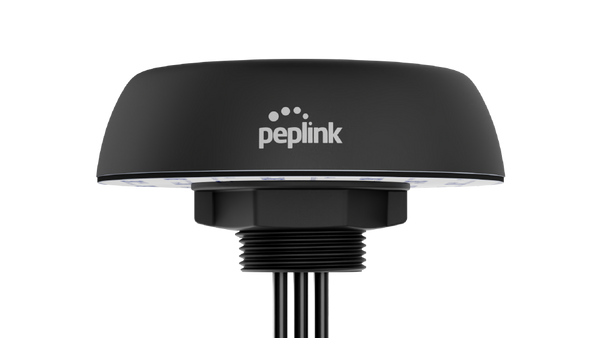Peplink Mobility 20G Antenna — Black, SMA, 6 ft
