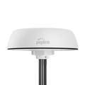 Peplink Mobility 42G antenna, white
