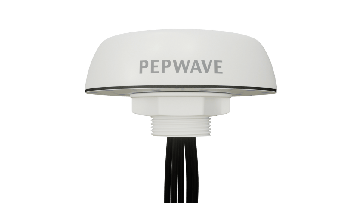 Peplink Mobility 40G antenna, white