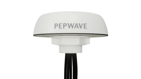 Peplink Mobility 40G Antenna — White, SMA, 6 ft